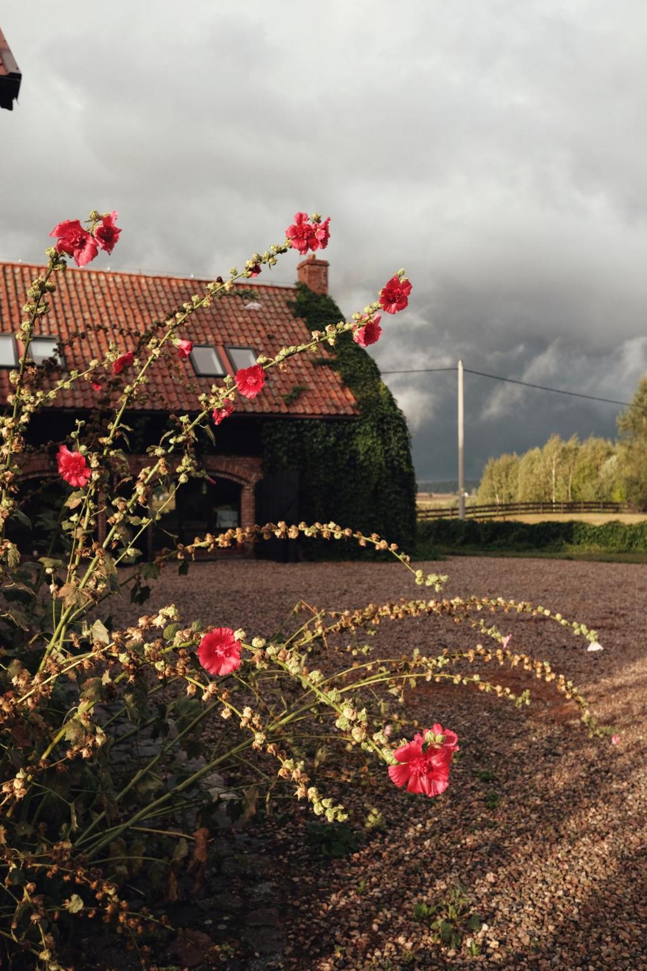 Siedlisko Maria Jablonowo Villa Bagian luar foto